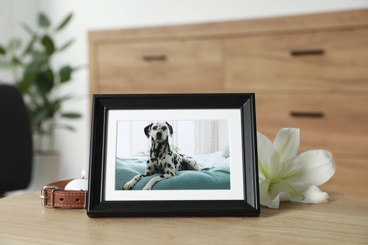 4 Keepsake Crafts to Do With Your Pup