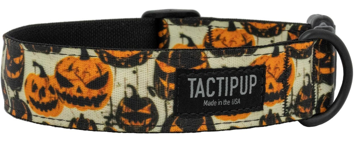 Limited Edition: 1.5&quot; Halloween 2024 Collar