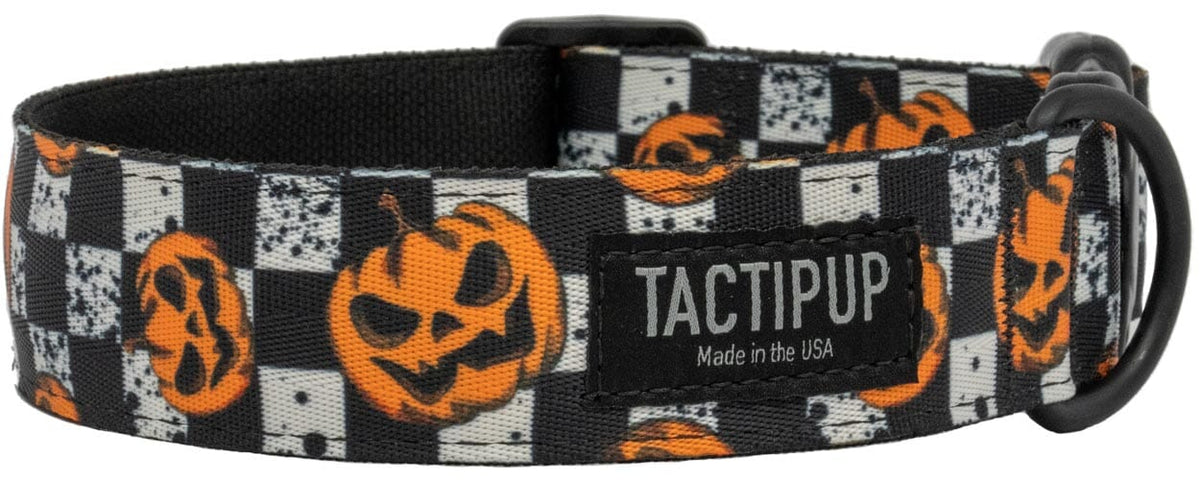 Limited Edition: 1.5&quot; Halloween 2024 Collar