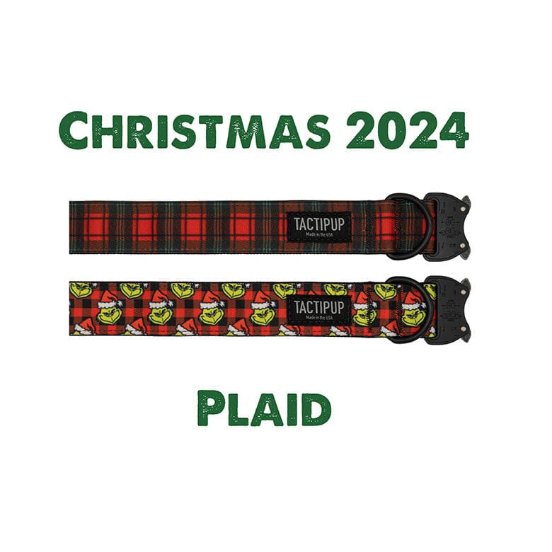 Limited Edition: 1.5&quot; Christmas 2024 Plaid Collar