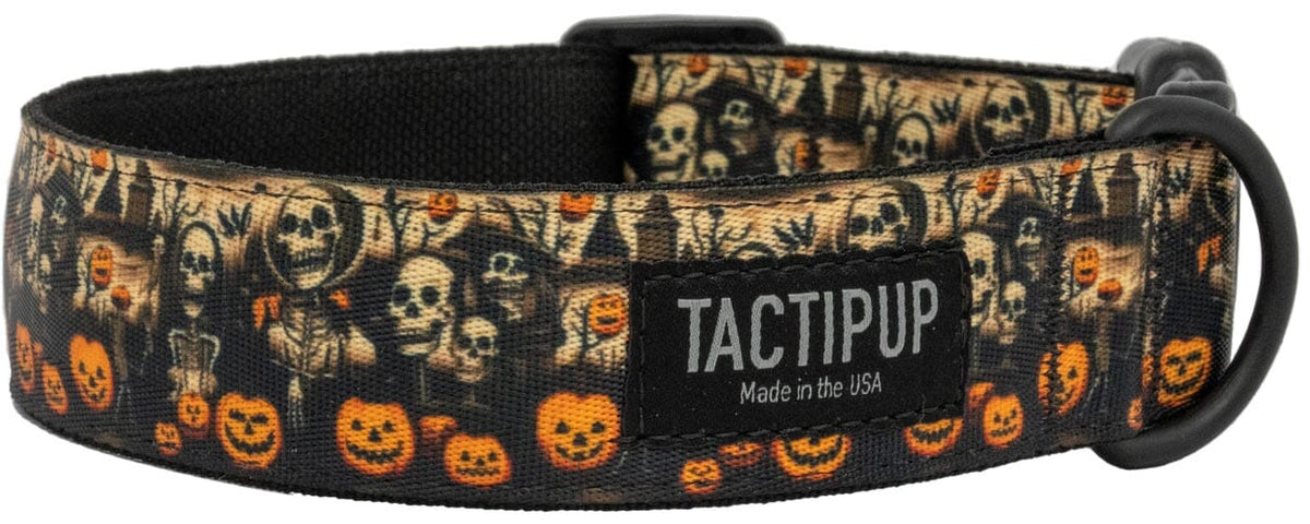 Limited Edition: 1.5&quot; Halloween 2024 Collar