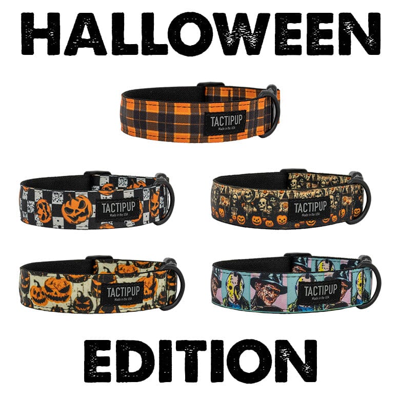 Limited Edition: 1.5&quot; Halloween 2024 Collar