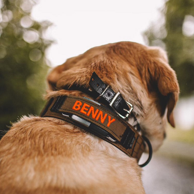 Personalized Series - 1 & 2 Fi Tactical Dog Collar Band | Tactipup