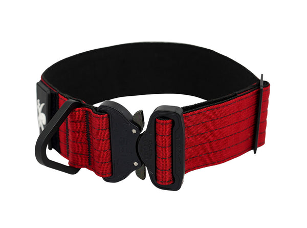 Customized Military Tactical Dog Collar with Handle | Tactipup